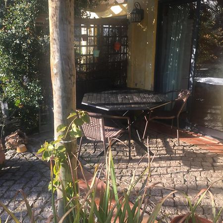 Quinta Da Sao Joao - Villa Oliveira 奥良 外观 照片