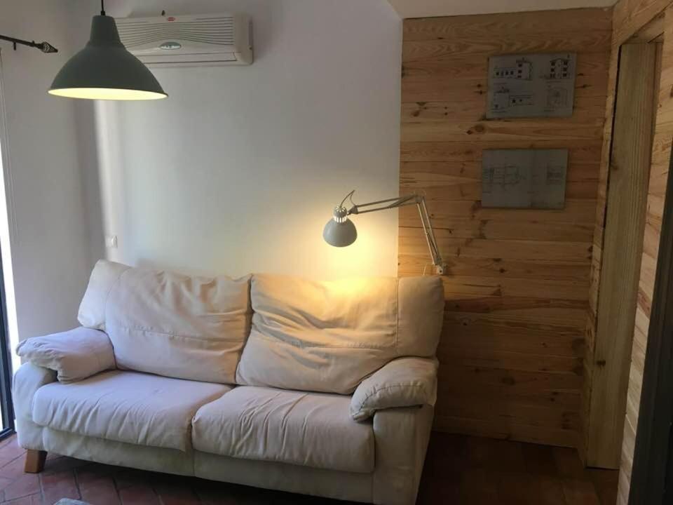 Quinta Da Sao Joao - Villa Oliveira 奥良 外观 照片