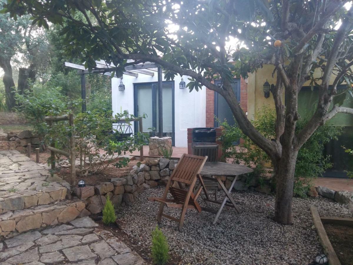 Quinta Da Sao Joao - Villa Oliveira 奥良 外观 照片