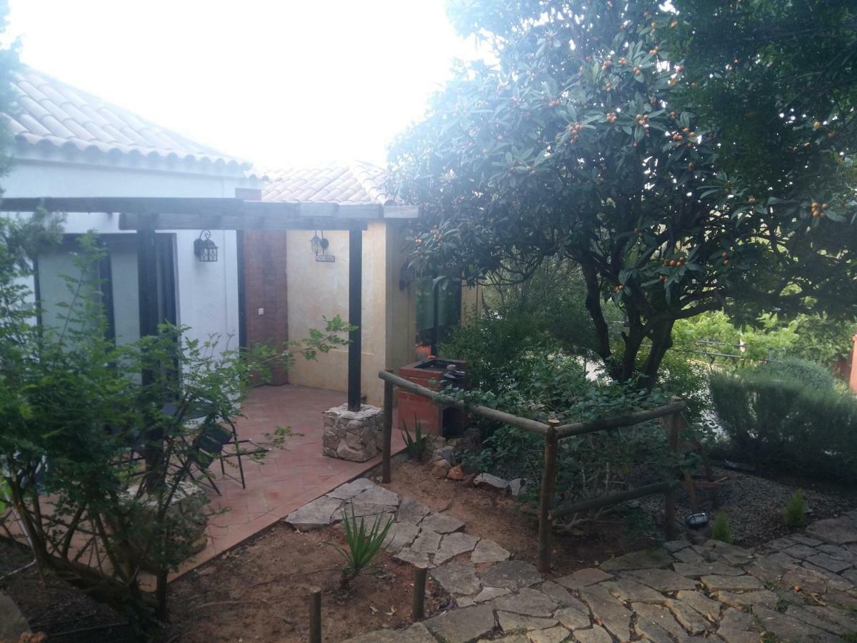 Quinta Da Sao Joao - Villa Oliveira 奥良 外观 照片