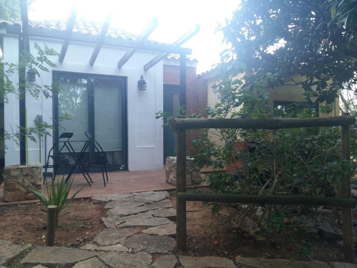 Quinta Da Sao Joao - Villa Oliveira 奥良 外观 照片