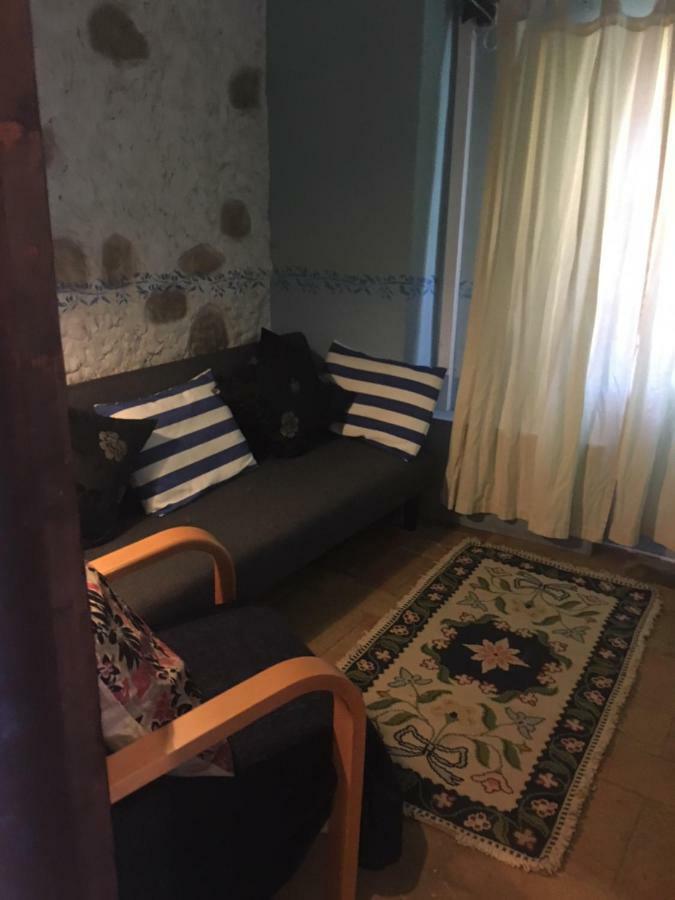 Quinta Da Sao Joao - Villa Oliveira 奥良 外观 照片
