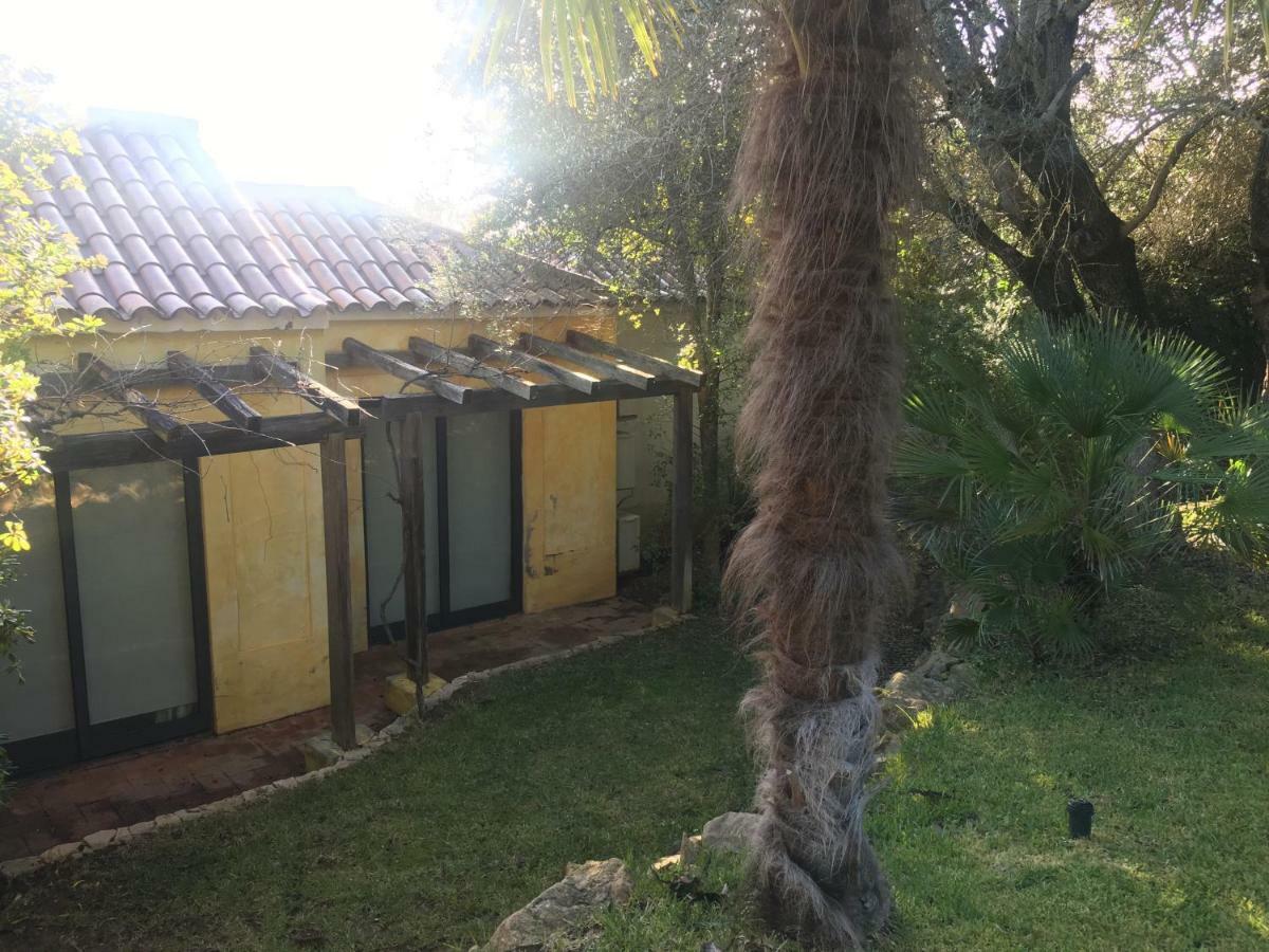 Quinta Da Sao Joao - Villa Oliveira 奥良 外观 照片