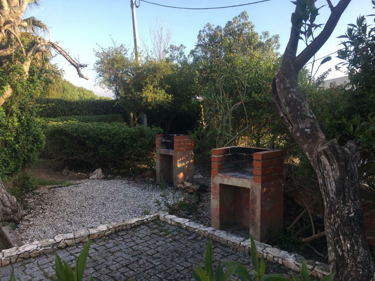Quinta Da Sao Joao - Villa Oliveira 奥良 外观 照片